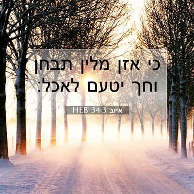 Picture 07 - איוב 34:3 HEB - כי אזן מלין תבחן וחך יטעם - Bible Verse Picture