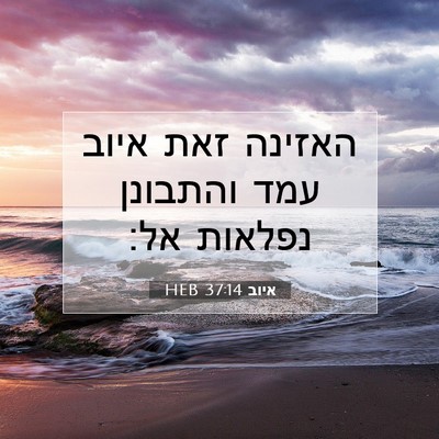 Picture 07 - איוב 37:14 HEB - האזינה זאת איוב עמד - Bible Verse Picture