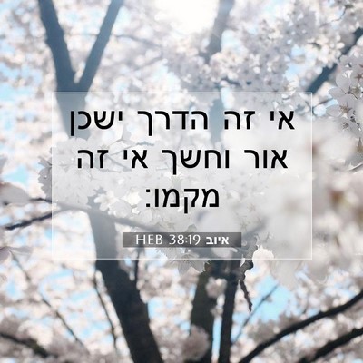 Picture 07 - איוב 38:19 HEB - אי זה הדרך ישכן אור וחשך אי - Bible Verse Picture