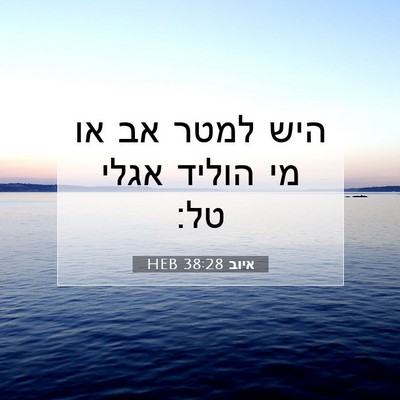 Picture 07 - איוב 38:28 HEB - היש למטר אב או מי הוליד - Bible Verse Picture