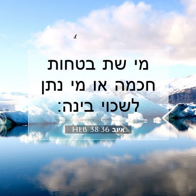 Picture 07 - איוב 38:36 HEB - מי שת בטחות חכמה או מי נתן - Bible Verse Picture