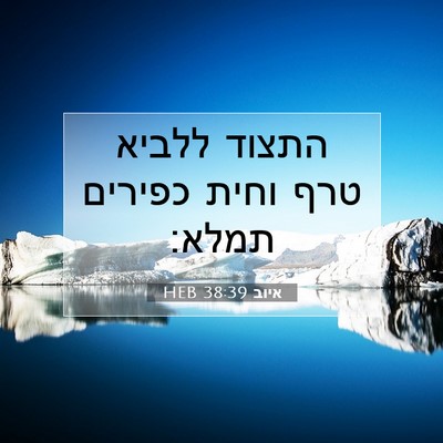 Picture 07 - איוב 38:39 HEB - התצוד ללביא טרף וחית - Bible Verse Picture
