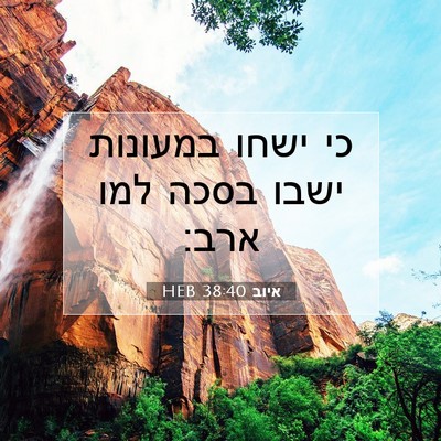 Picture 07 - איוב 38:40 HEB - כי ישחו במעונות ישבו בסכה - Bible Verse Picture