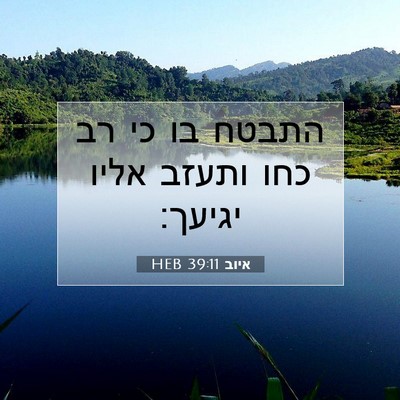 Picture 07 - איוב 39:11 HEB - התבטח בו כי רב כחו ותעזב - Bible Verse Picture