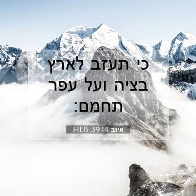 Picture 07 - איוב 39:14 HEB - כי תעזב לארץ בציה ועל עפר - Bible Verse Picture