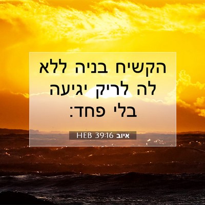 Picture 07 - איוב 39:16 HEB - הקשיח בניה ללא לה לריק - Bible Verse Picture
