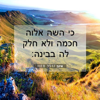 Picture 07 - איוב 39:17 HEB - כי השה אלוה חכמה ולא חלק לה - Bible Verse Picture