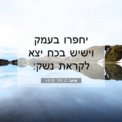 Picture 07 - איוב 39:21 HEB - יחפרו בעמק וישיש בכח יצא - Bible Verse Picture