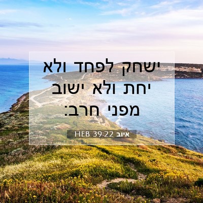 Picture 07 - איוב 39:22 HEB - ישחק לפחד ולא יחת ולא ישוב - Bible Verse Picture