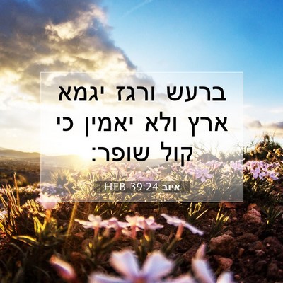 Picture 07 - איוב 39:24 HEB - ברעש ורגז יגמא ארץ ולא - Bible Verse Picture