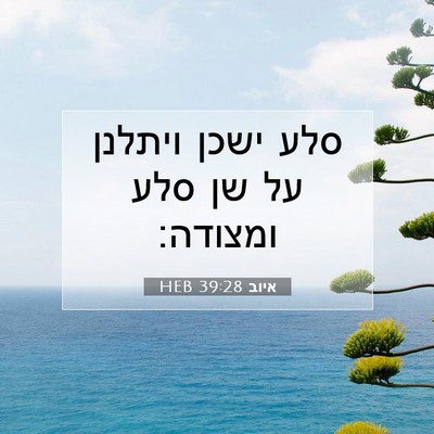 Picture 07 - איוב 39:28 HEB - סלע ישכן ויתלנן על שן סלע - Bible Verse Picture