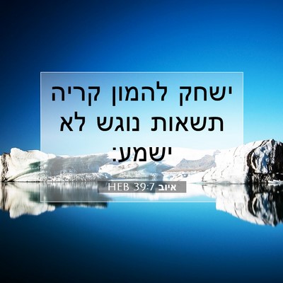 Picture 07 - איוב 39:7 HEB - ישחק להמון קריה תשאות נוגש - Bible Verse Picture