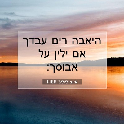 Picture 07 - איוב 39:9 HEB - היאבה רים עבדך אם ילין על - Bible Verse Picture