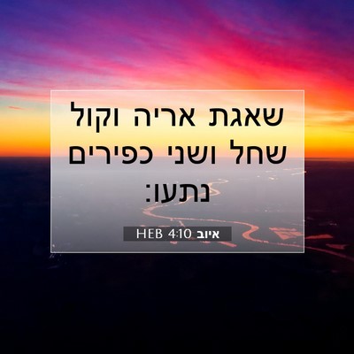 Picture 07 - איוב 4:10 HEB - שאגת אריה וקול שחל ושני - Bible Verse Picture