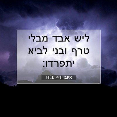 Picture 07 - איוב 4:11 HEB - ליש אבד מבלי טרף ובני לביא - Bible Verse Picture