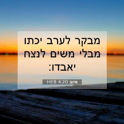 Picture 07 - איוב 4:20 HEB - מבקר לערב יכתו מבלי משים - Bible Verse Picture