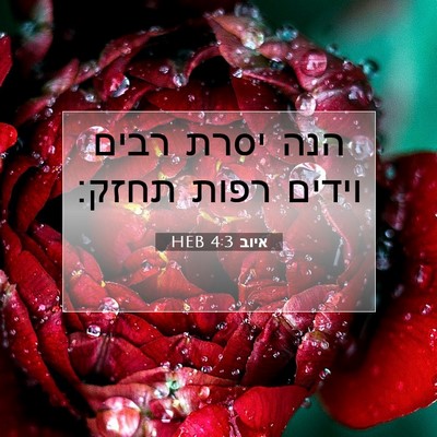 Picture 07 - איוב 4:3 HEB - הנה יסרת רבים וידים רפות - Bible Verse Picture