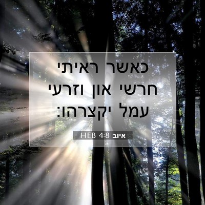 Picture 07 - איוב 4:8 HEB - כאשר ראיתי חרשי און וזרעי - Bible Verse Picture