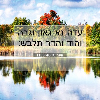 Picture 07 - איוב 40:10 HEB - עדה נא גאון וגבה והוד והדר - Bible Verse Picture