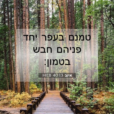 Picture 07 - איוב 40:13 HEB - טמנם בעפר יחד פניהם חבש - Bible Verse Picture