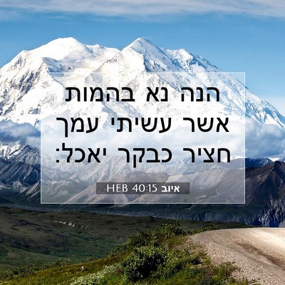 Picture 07 - איוב 40:15 HEB - הנה נא בהמות אשר עשיתי עמך - Bible Verse Picture