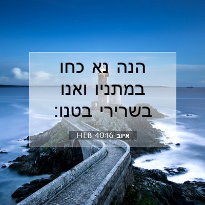 Picture 07 - איוב 40:16 HEB - הנה נא כחו במתניו ואנו - Bible Verse Picture