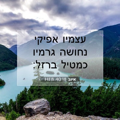 Picture 07 - איוב 40:18 HEB - עצמיו אפיקי נחושה גרמיו - Bible Verse Picture