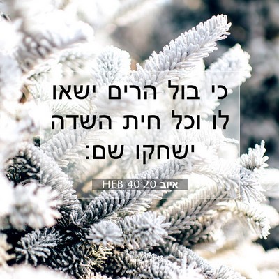Picture 07 - איוב 40:20 HEB - כי בול הרים ישאו לו וכל חית - Bible Verse Picture