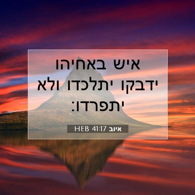 Picture 07 - איוב 41:17 HEB - איש באחיהו ידבקו יתלכדו - Bible Verse Picture