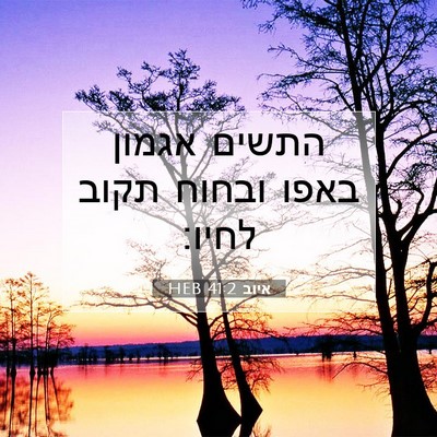 Picture 07 - איוב 41:2 HEB - התשים אגמון באפו ובחוח - Bible Verse Picture