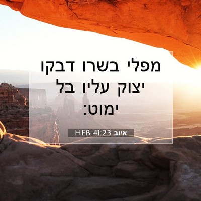 Picture 07 - איוב 41:23 HEB - מפלי בשרו דבקו יצוק עליו בל - Bible Verse Picture