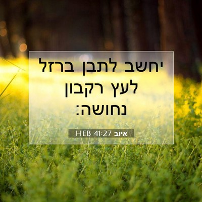 Picture 07 - איוב 41:27 HEB - יחשב לתבן ברזל לעץ רקבון - Bible Verse Picture