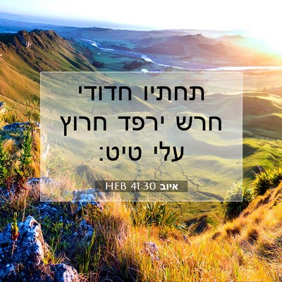 Picture 07 - איוב 41:30 HEB - תחתיו חדודי חרש ירפד חרוץ - Bible Verse Picture