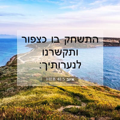 Picture 07 - איוב 41:5 HEB - התשחק בו כצפור ותקשרנו - Bible Verse Picture