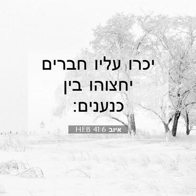 Picture 07 - איוב 41:6 HEB - יכרו עליו חברים יחצוהו בין - Bible Verse Picture