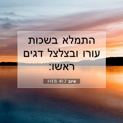 Picture 07 - איוב 41:7 HEB - התמלא בשכות עורו ובצלצל - Bible Verse Picture