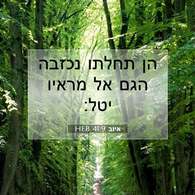 Picture 07 - איוב 41:9 HEB - הן תחלתו נכזבה הגם אל מראיו - Bible Verse Picture