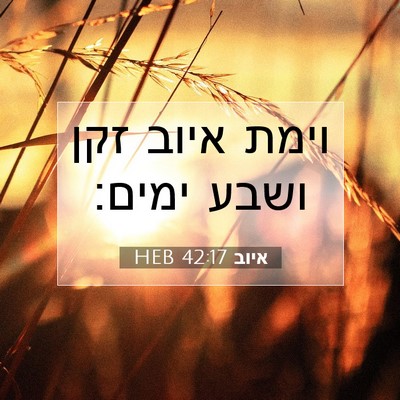 Picture 07 - איוב 42:17 HEB - וימת איוב זקן ושבע - Bible Verse Picture