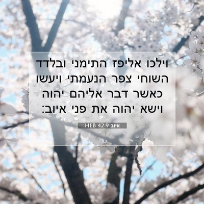 Picture 07 - איוב 42:9 HEB - וילכו אליפז התימני ובלדד - Bible Verse Picture