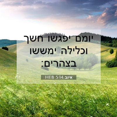 Picture 07 - איוב 5:14 HEB - יומם יפגשו חשך וכלילה - Bible Verse Picture