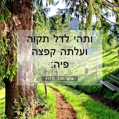 Picture 07 - איוב 5:16 HEB - ותהי לדל תקוה ועלתה קפצה - Bible Verse Picture