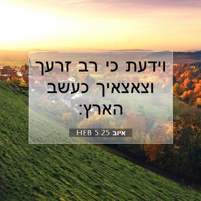 Picture 07 - איוב 5:25 HEB - וידעת כי רב זרעך וצאצאיך - Bible Verse Picture