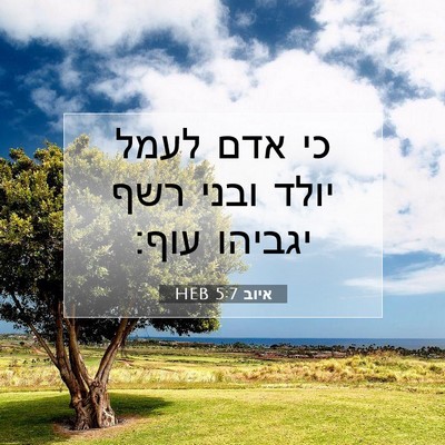 Picture 07 - איוב 5:7 HEB - כי אדם לעמל יולד ובני רשף - Bible Verse Picture