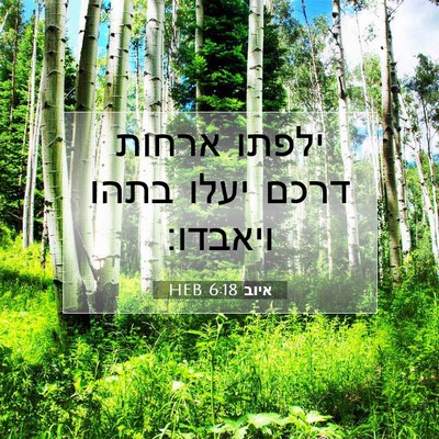 Picture 07 - איוב 6:18 HEB - ילפתו ארחות דרכם יעלו בתהו - Bible Verse Picture
