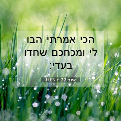 Picture 07 - איוב 6:22 HEB - הכי אמרתי הבו לי ומכחכם - Bible Verse Picture