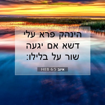 Picture 07 - איוב 6:5 HEB - הינהק פרא עלי דשא אם יגעה - Bible Verse Picture