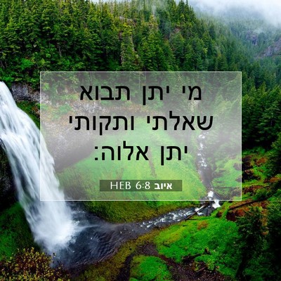 Picture 07 - איוב 6:8 HEB - מי יתן תבוא שאלתי ותקותי - Bible Verse Picture