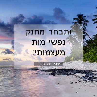 Picture 07 - איוב 7:15 HEB - ותבחר מחנק נפשי מות - Bible Verse Picture