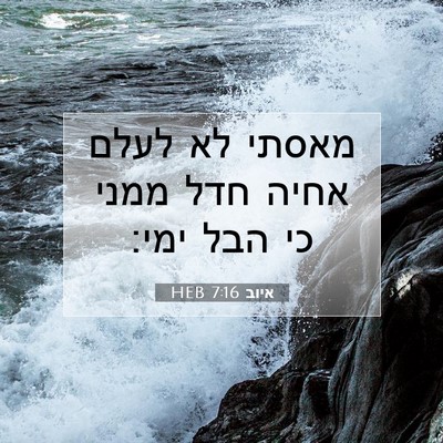 Picture 07 - איוב 7:16 HEB - מאסתי לא לעלם אחיה חדל ממני - Bible Verse Picture