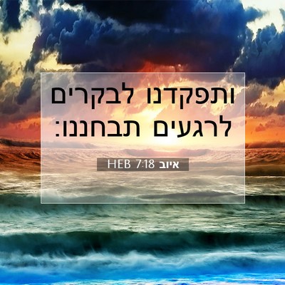 Picture 07 - איוב 7:18 HEB - ותפקדנו לבקרים לרגעים - Bible Verse Picture